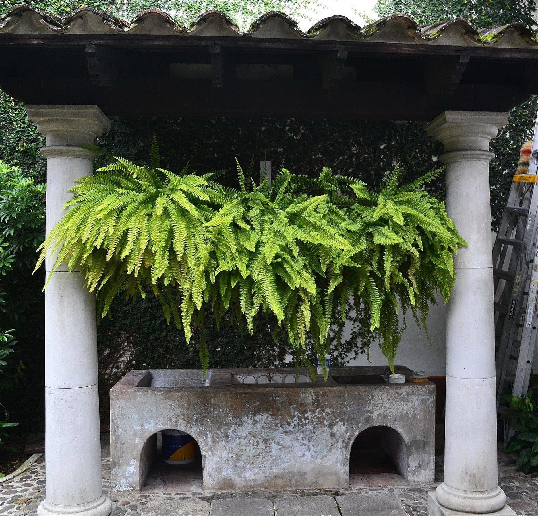 Meson Del Alferez Coatepec Hotel Coatepec  Bagian luar foto